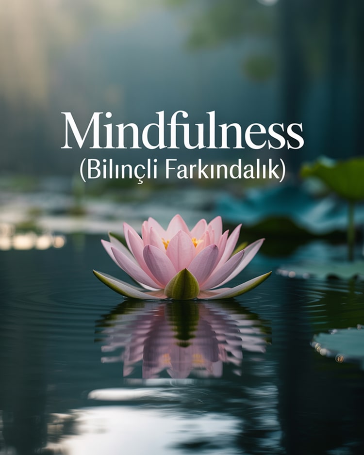 Voor wie is mindfulness counseling geschikt?